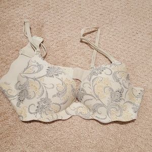 36B bra